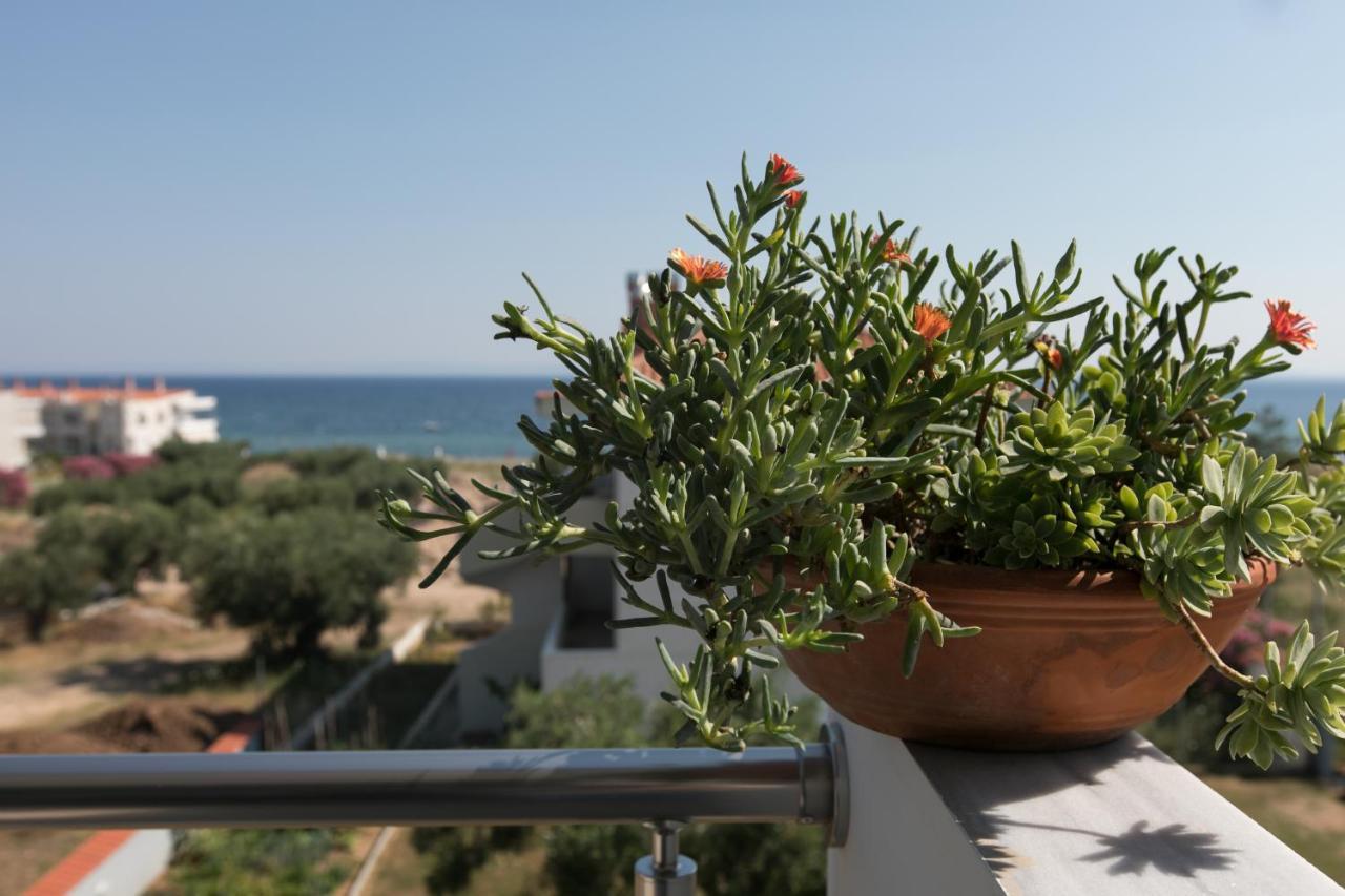 Apartamento The House Of The Roses Gerakini Exterior foto